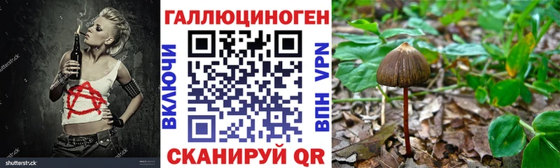 Галлюциногенные грибы Psilocybine cubensis  хочу   Беломорск 